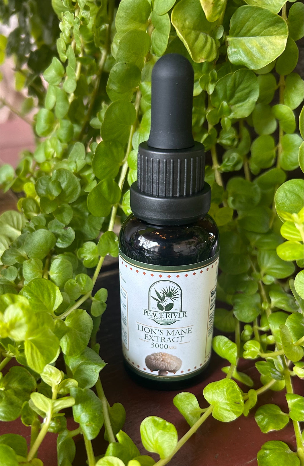 Lion's Mane Extract 3000mg
