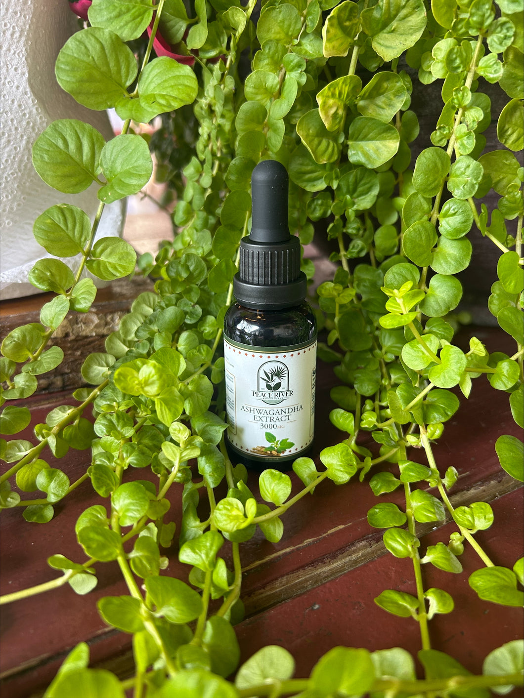 Ashwagandha Extract 3000
