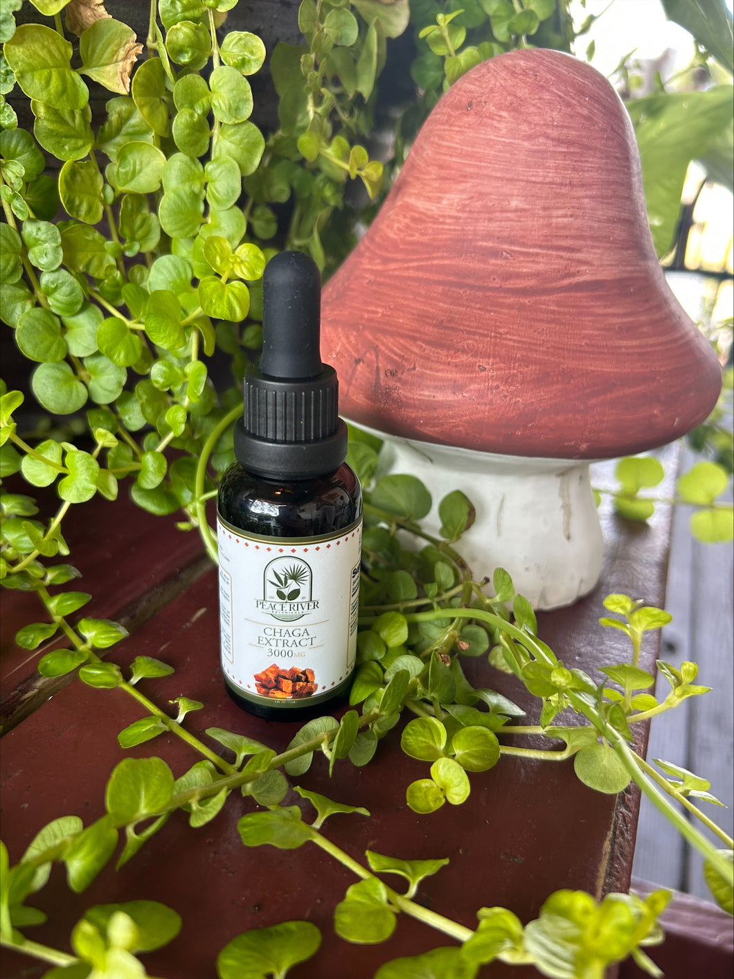 Chaga Extract 3000mg